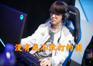 牛八数据盘点：TheShy表现如何？从关键数据看其轮换策略